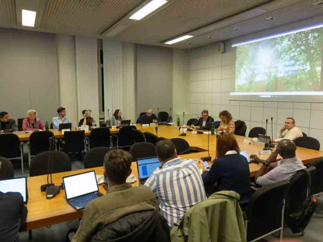 Sitzung des Integrationsrates im Rathaus